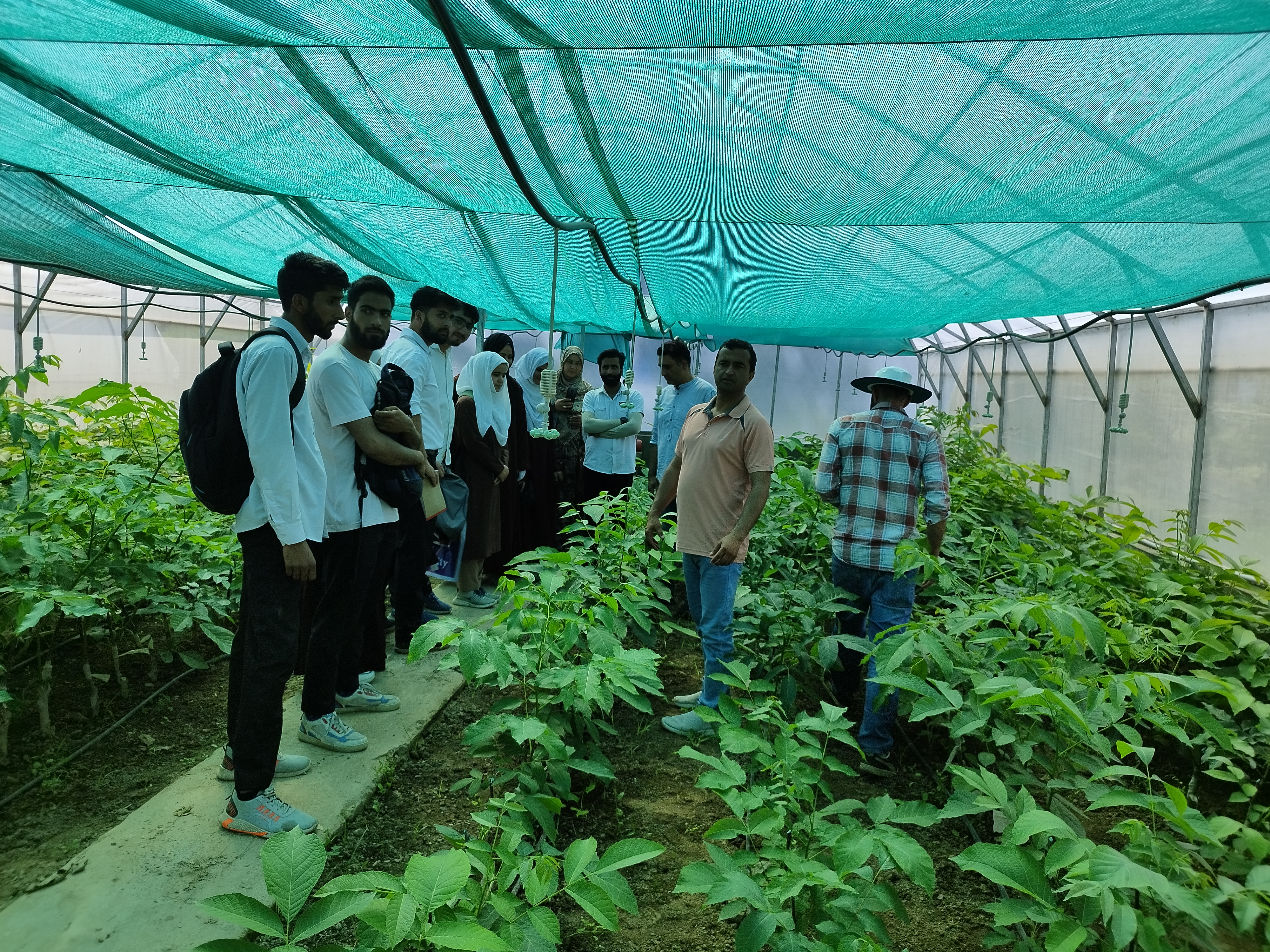 Organic In-situ Input Production for vegetables production